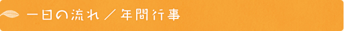 一日の流れ／年間行事